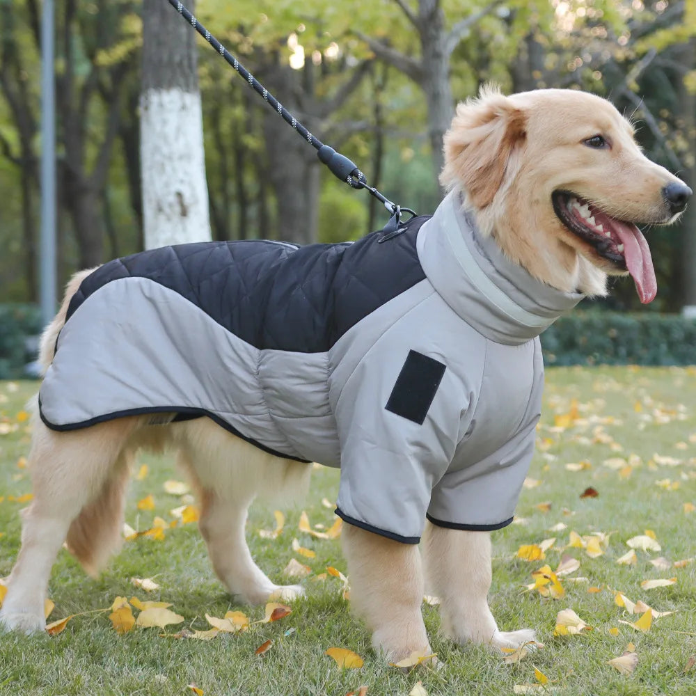 Köpek Yağmurluk 20016029