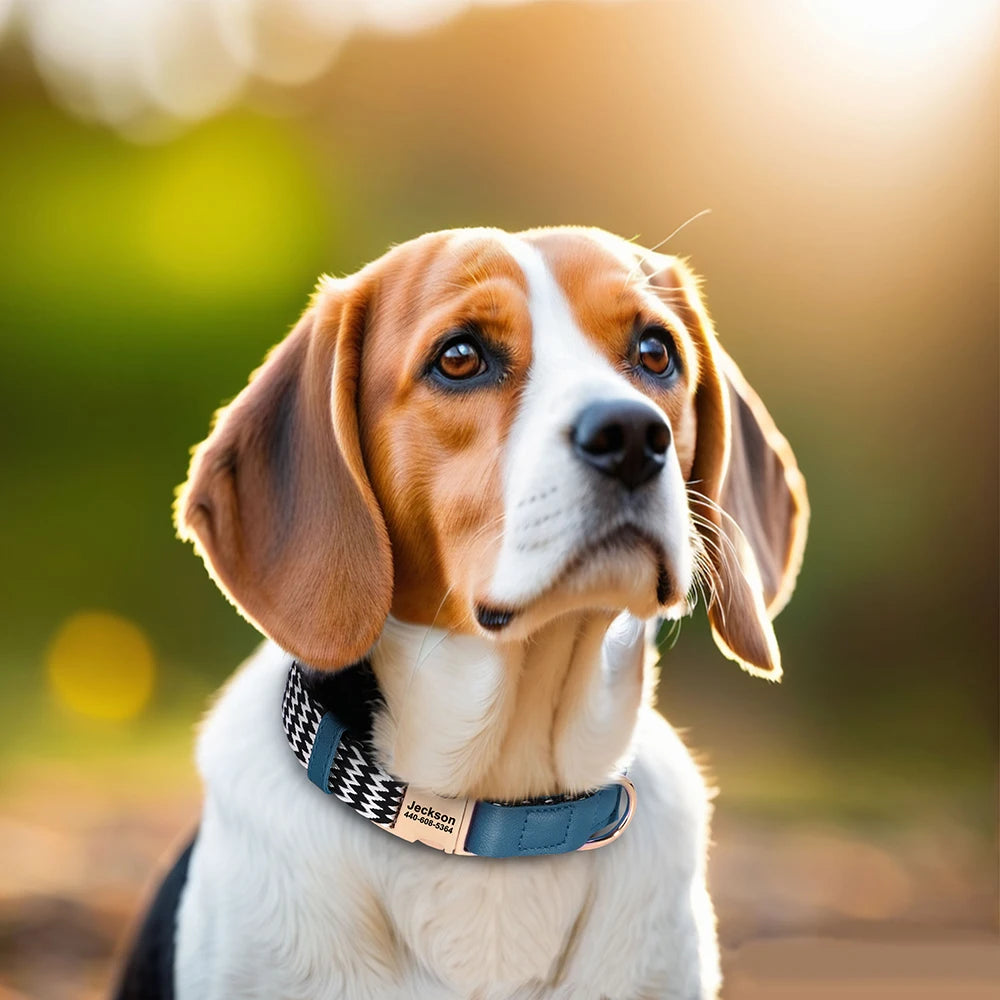 İsimli Köpek Tasması İsimli Deri Boyun Tasması 