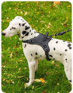 Köpek Göğüs Tasması 06725