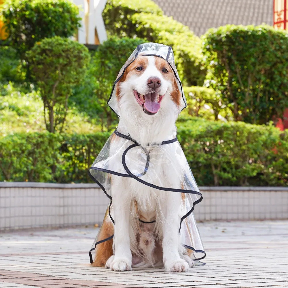 Köpek Yağmurluk Kolay Kullanım 81054