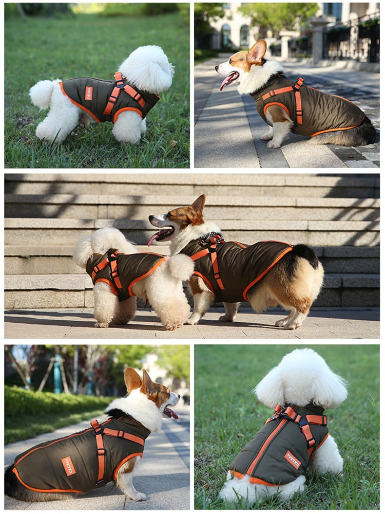 Köpek Yağmurluk Mont Polar İç 292404