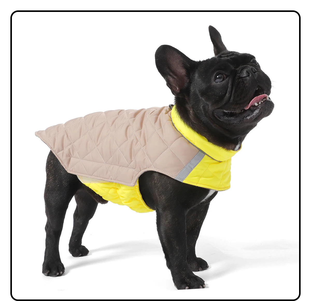 Köpek Yağmurluğu Çift Taraflı Reflective 79528