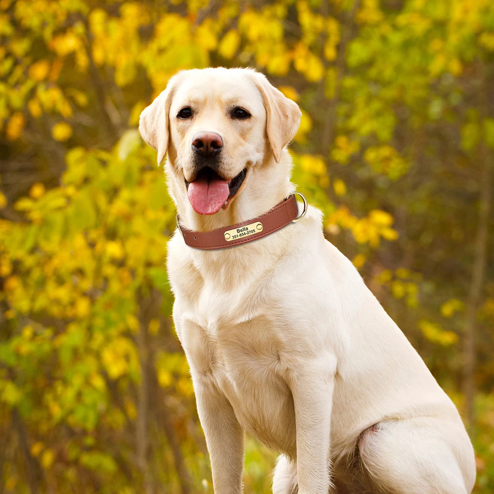 İsimli Köpek Tasması Yastıklı Deri Tasma 614392