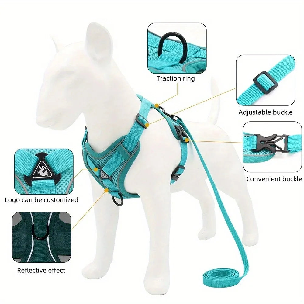 Köpek Göğüs Tasması SET 96851