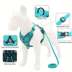 Köpek Göğüs Tasması SET 96851