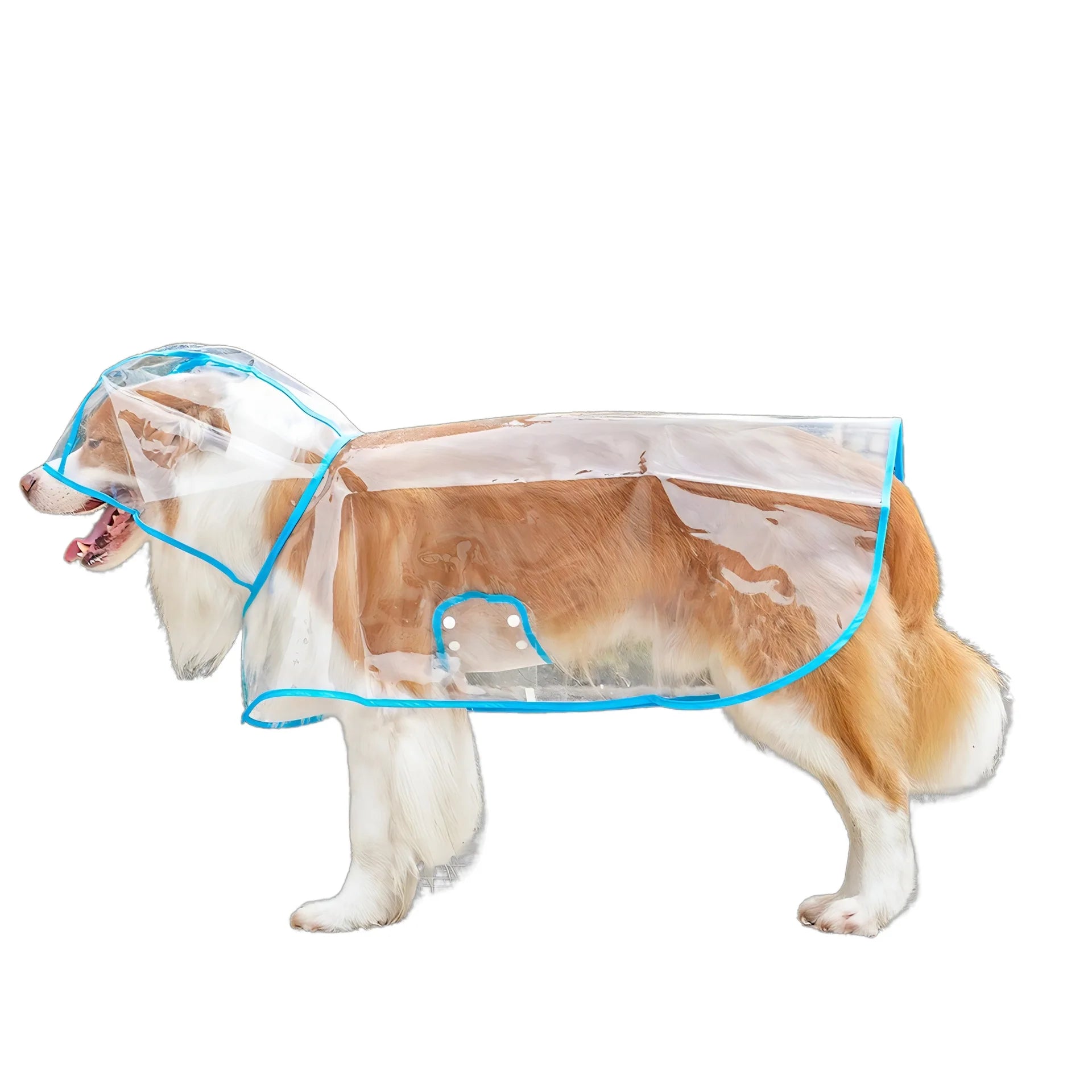 Köpek Yağmurluk Kolay Kullanım 81054