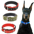 Köpek Tasması 96108