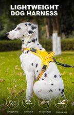 Köpek Göğüs Tasması 06725
