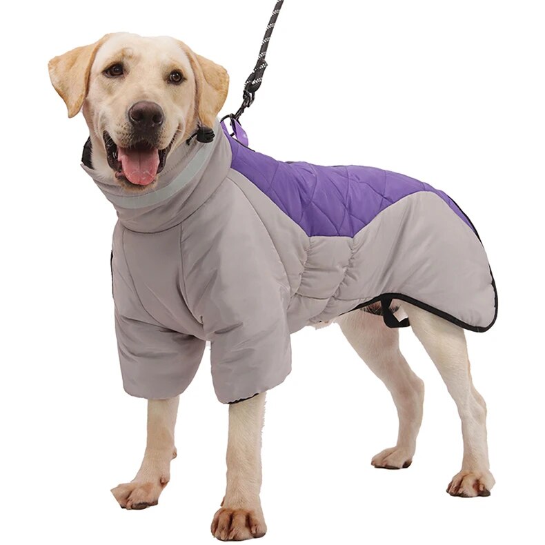 Köpek yağmurluk 20016029