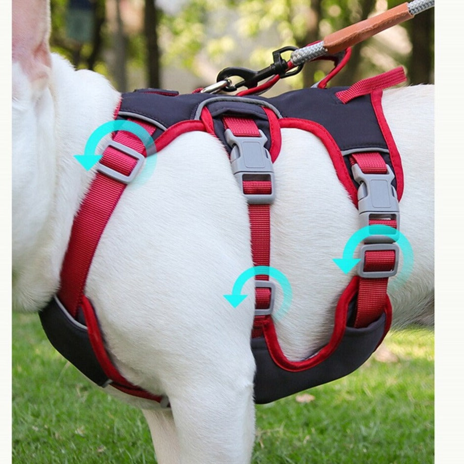 Köpek Göğüs Yansıtıcı Belden Tasma 800659