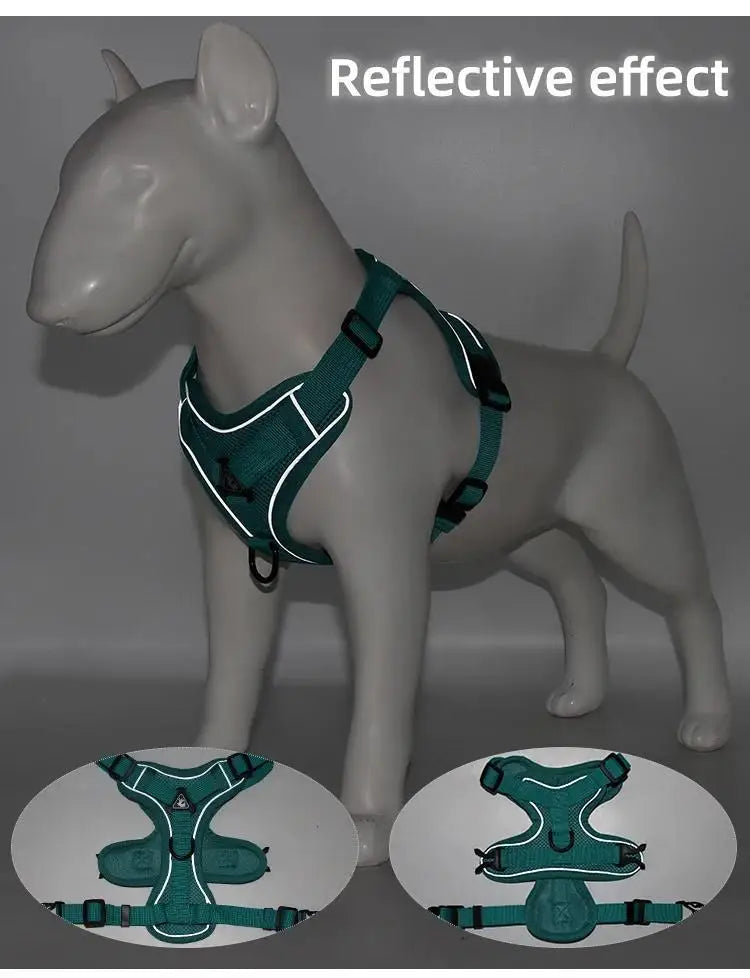Köpek Göğüs Tasması SET 96851