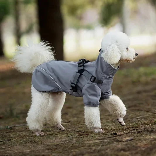 Köpek yağmurluk tasma 70488