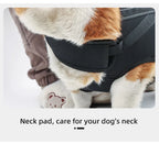 Köpek Taşıma Çantası 05889
