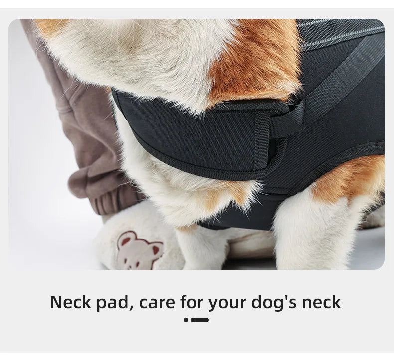 Köpek Taşıma Çantası 05889