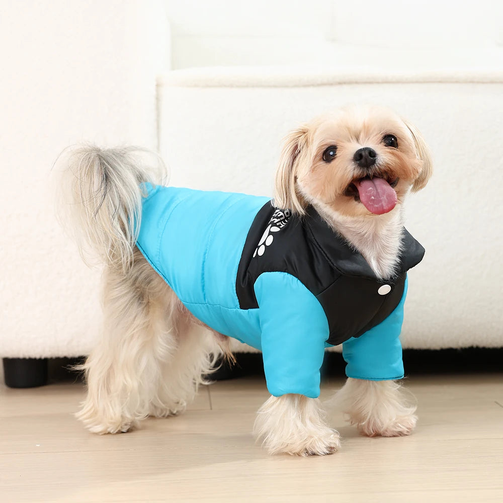 Köpek Yağmurluk 54528