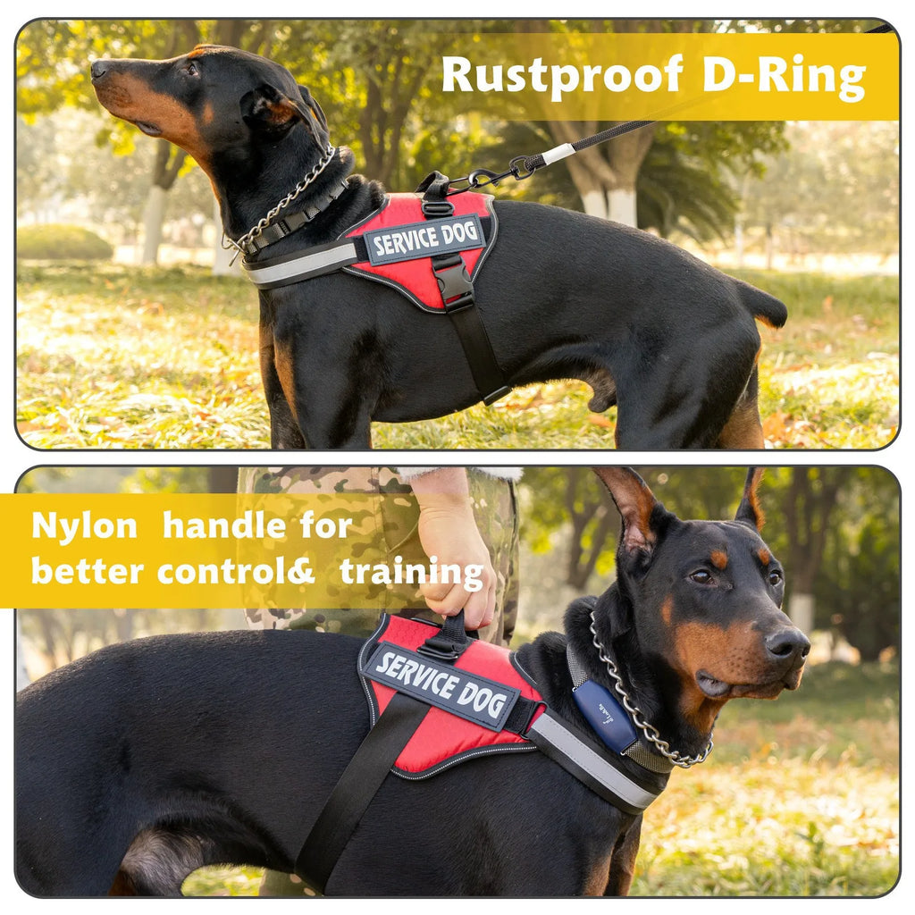 Köpek Göğüs Tasması 89678