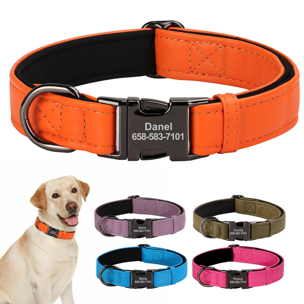İsimli Deri Köpek Tasması 54377