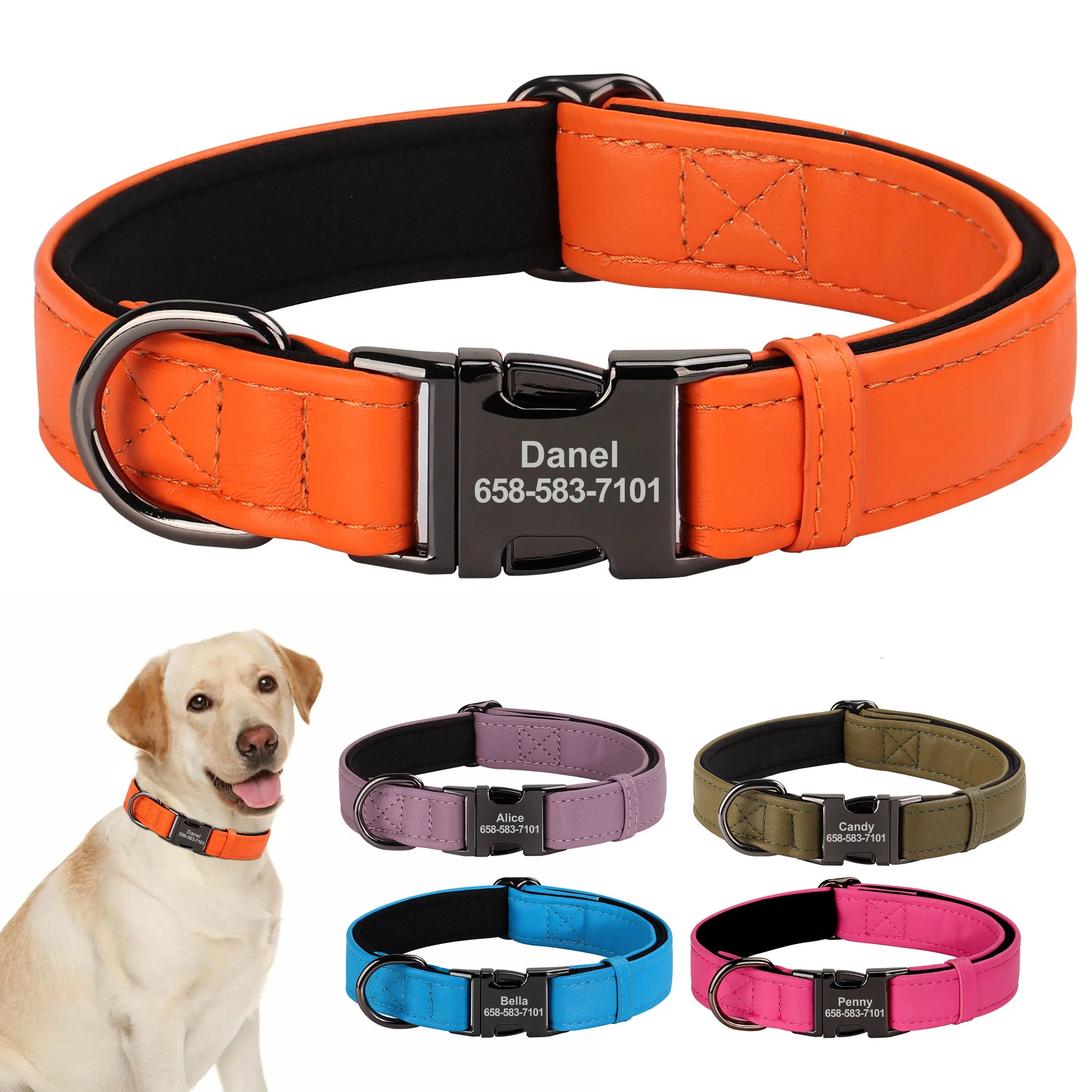 İsimli Deri Köpek Tasması 54377