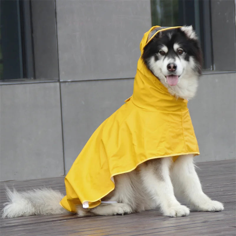 Köpek Yağmurluk 25492