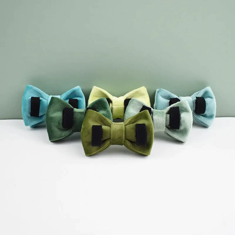 Kedi tasması Zilli Kedi boyun tasması 073430