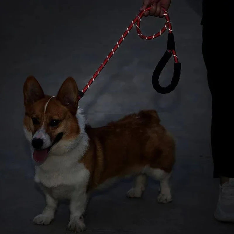 Reflektörlü Köpek Gezdirme Kayışı 03422