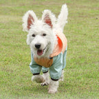 Köpek Yağmurluk Tulum 72617