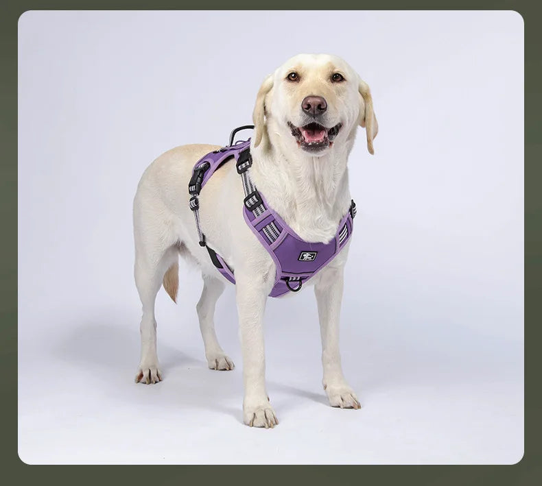 Tactical Göğüs Tasması Reflective 30456