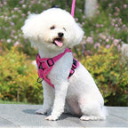 Köpek Göğüs Tasması SET 96851