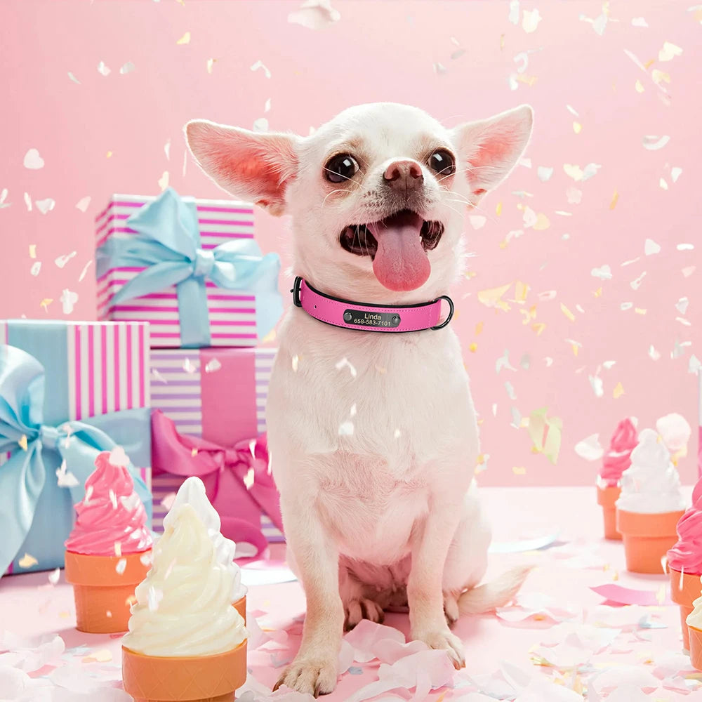 İsimli Deri Köpek Tasması 80341