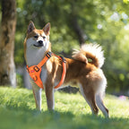 Köpek Göğüs Tasması Reflective 58070