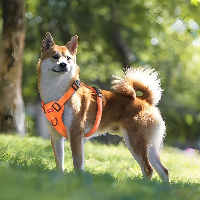 Köpek Göğüs Tasması Reflective 58070