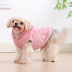 Köpek Mont Kazak 48314