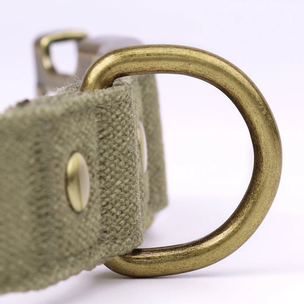 Köpek Tasması İsimli Kanvas 80651