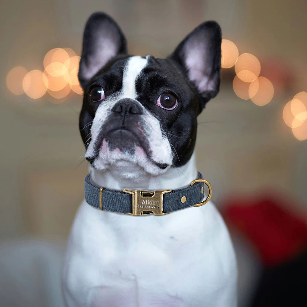 Köpek Tasması İsimli Kanvas 80651