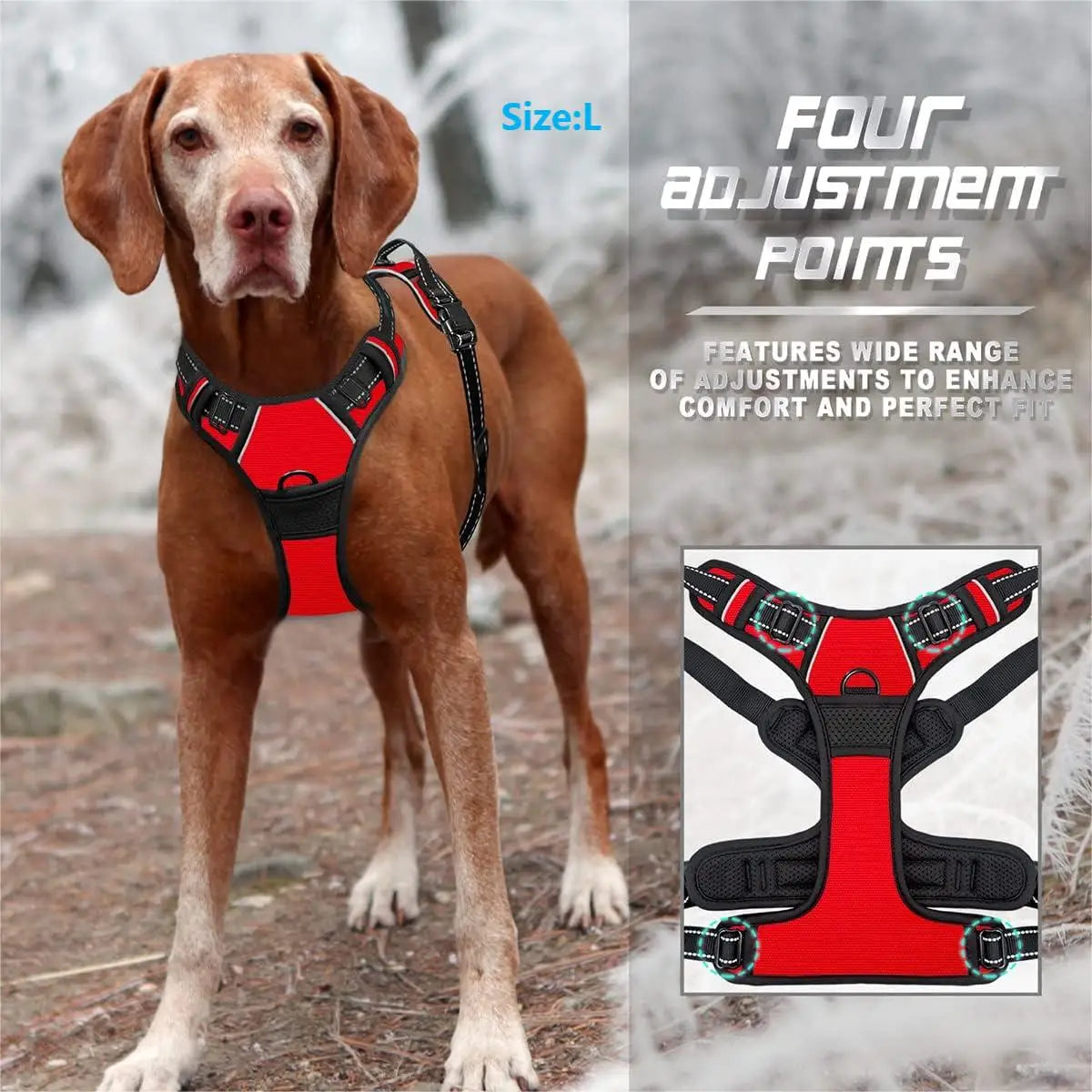 Köpek Göğüs Tasması 78958