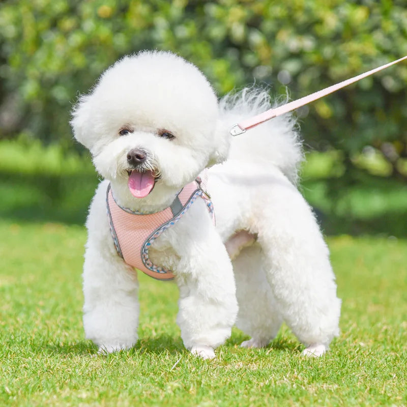 Köpek Göğüs Tasması ve Gezdirme Kayışı Seti 89194