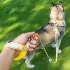 Reflektörlü Airtag Köpek Tasması Kayışı Seti 70866