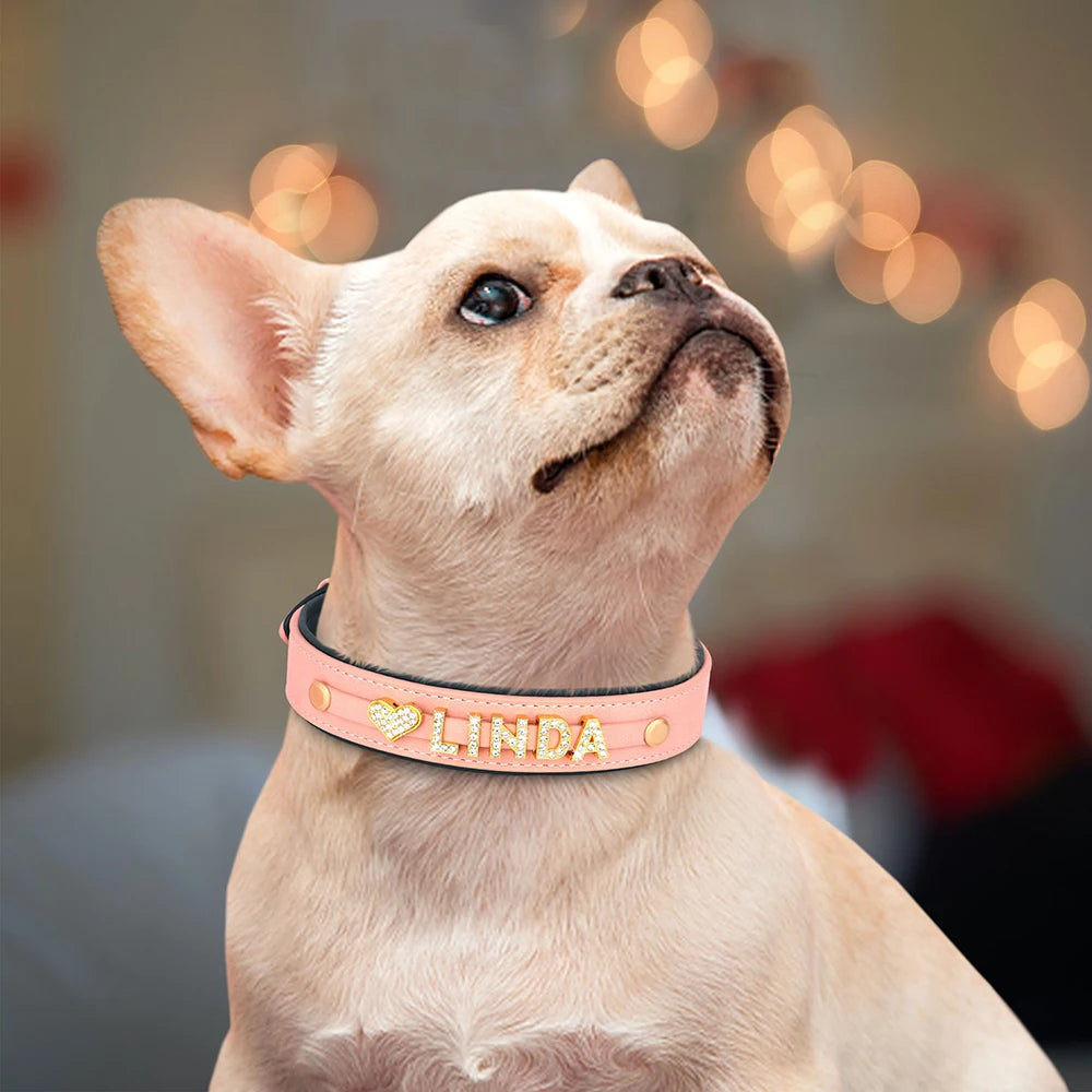 Taşlı Köpek Tasması: İsim Yazılı, Yumuşak Deri ve Işıltılı 54459