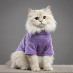 Sıcak Tutan Esnek Kedi Kıyafeti 99051