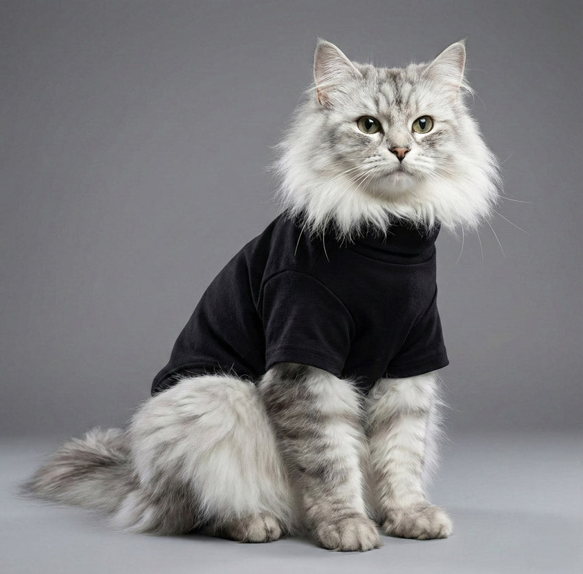 Sıcak Tutan Esnek Kedi Kıyafeti 99051