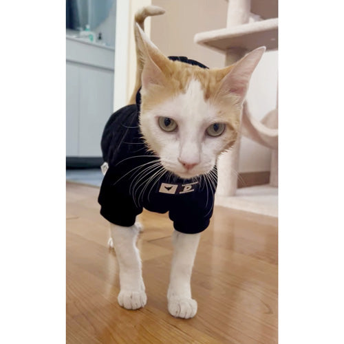 Siyah Kapüşonlu Kedi Sweatshirt Pamuklu Kışlık Kedi Kıyafeti 67961