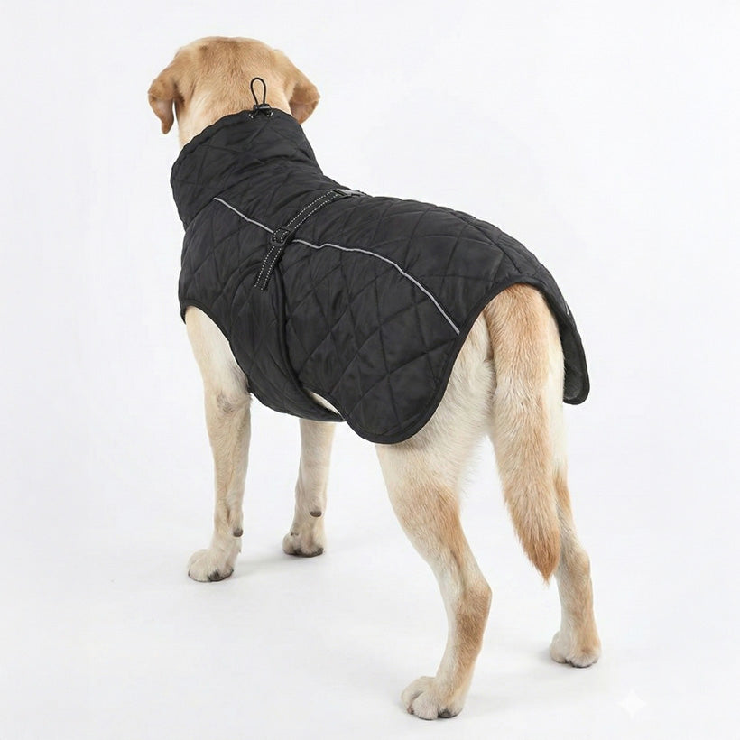 Su Geçirme Reflektörlü Kışlık Köpek Montu – Sıcak Tutan Yelek Yağmurluk 52887