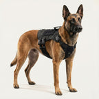 Taktik K9 Köpek Göğüs Tasması Kaçış Önleyici 68208