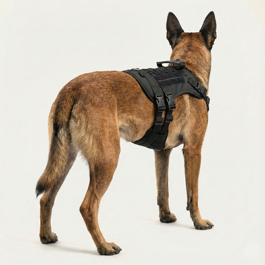Taktik K9 Köpek Göğüs Tasması Kaçış Önleyici 68208