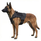 Taktik K9 Köpek Göğüs Tasması Kaçış Önleyici 68208