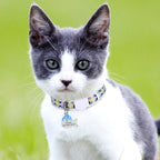 Zilli İsimli Kedi Tasması Güvenlikli Kedi Tasması 99827