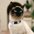 Zilli İsimli Kedi Tasması Güvenlikli Kedi Tasması 99827