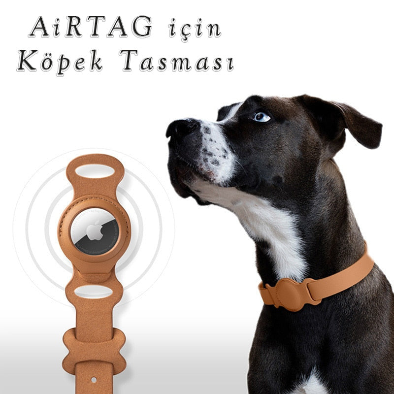 Airtag Köpek Tasması Airtag Kedi Tasması 91496