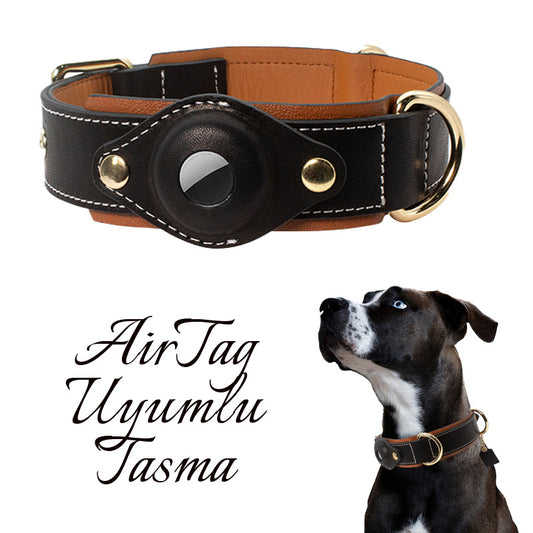 Airtag Tasma Airtag Premium Köpek Tasması 207812