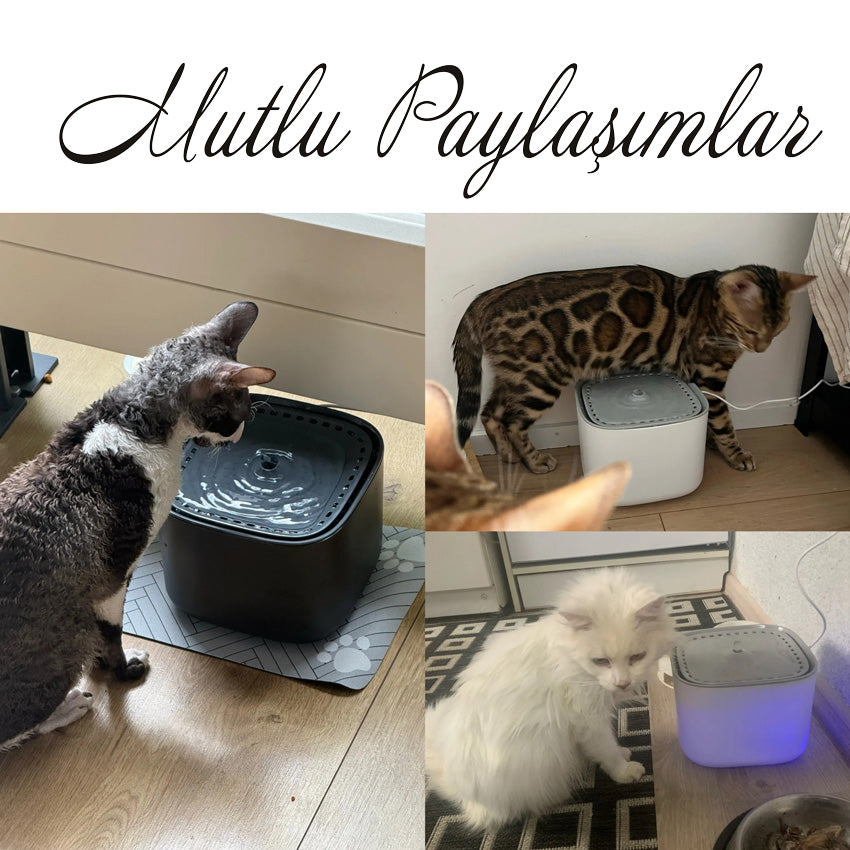 Kedi Su kabı 76424